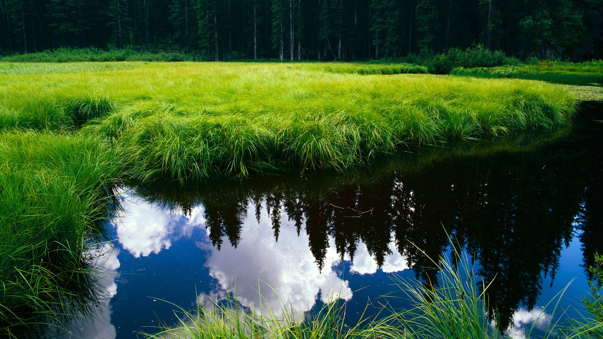 _极限潜水探险:探索深海的秘密_,极限潜水时间记录
