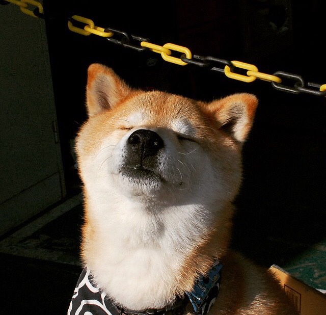 《电竞文化的传承与创新：新一代年轻人的精神寄托》，电竞 文化担当