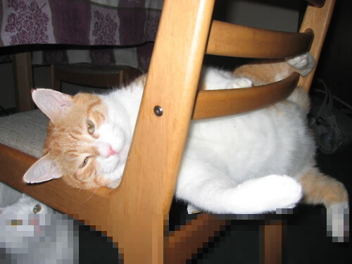 电子台球与传统台球：未来发展趋势，电子桌球怎么提高