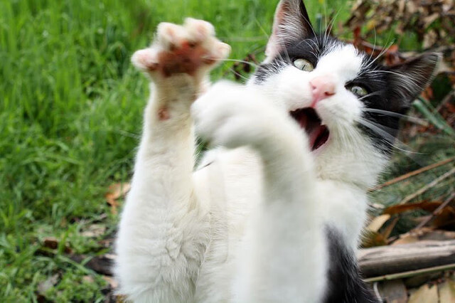 开云体育APP-中国男足在巴黎奥运会比赛中以3-1击败巴西，奥运会男足中国对巴西