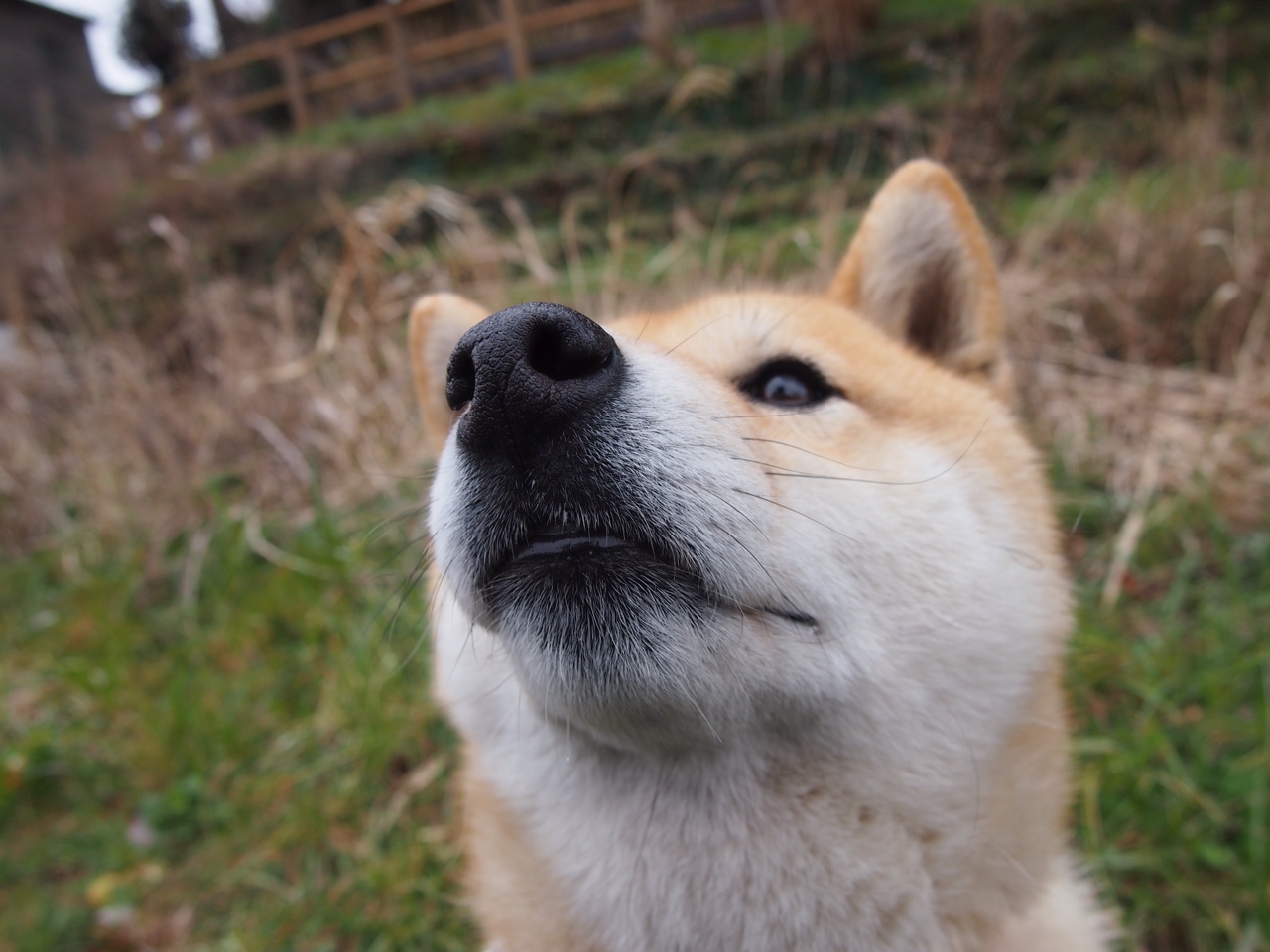 开云在线-国民队队员战术执行力强，国民队队员战术执行力强吗