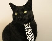 斯图加特客场不败，稳固中游位置，斯图加特足球俱乐部主场