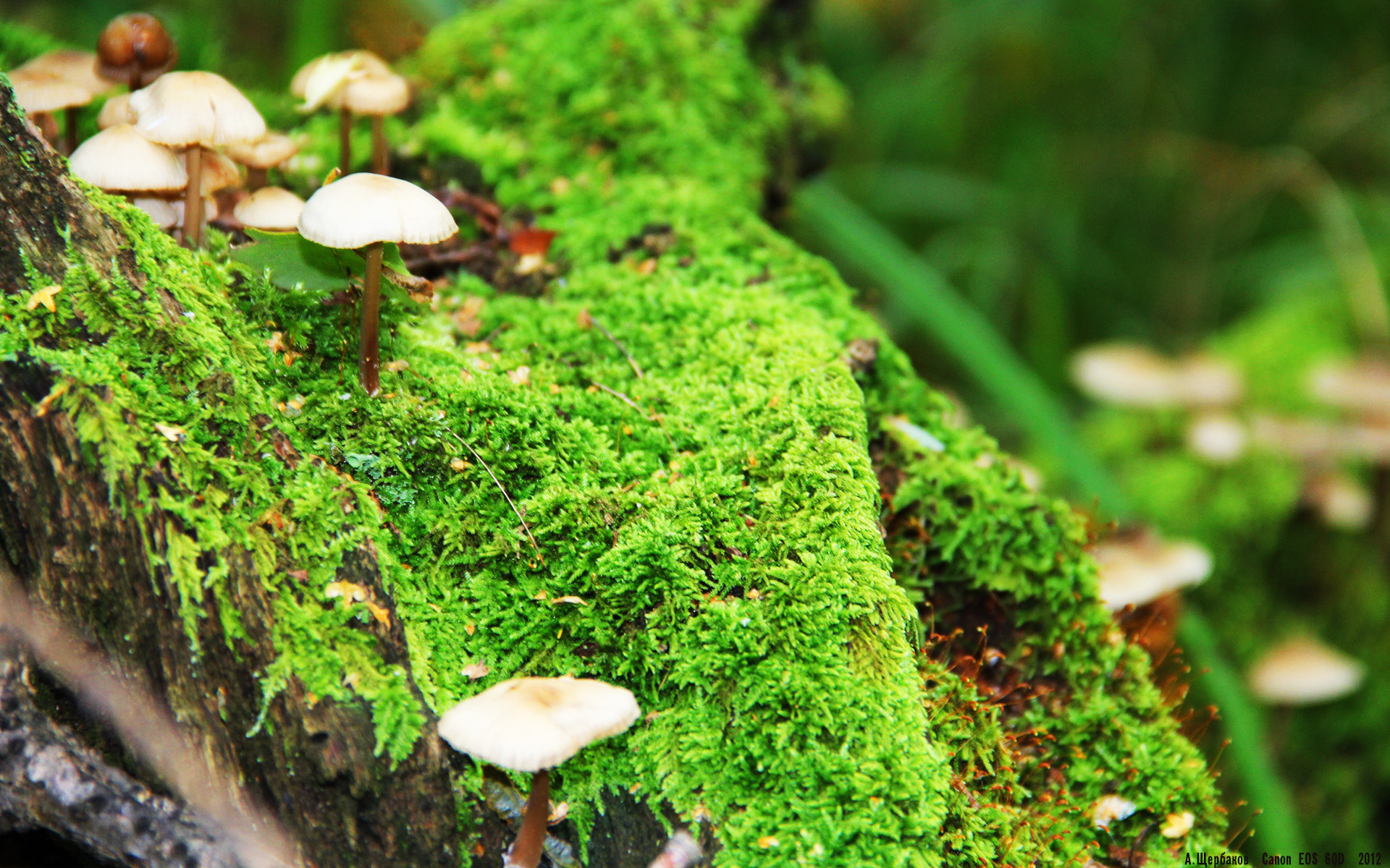 开云体育app安全下载-三年200蝶成绩提升率：中方每年进步0.8秒